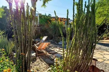 Casa De Suenos Home Of Dreams Off Downtown Ps Palm Springs Tatil Evi